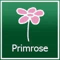 Primrose 折扣碼 