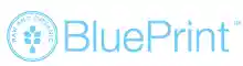 BluePrint 折扣碼 